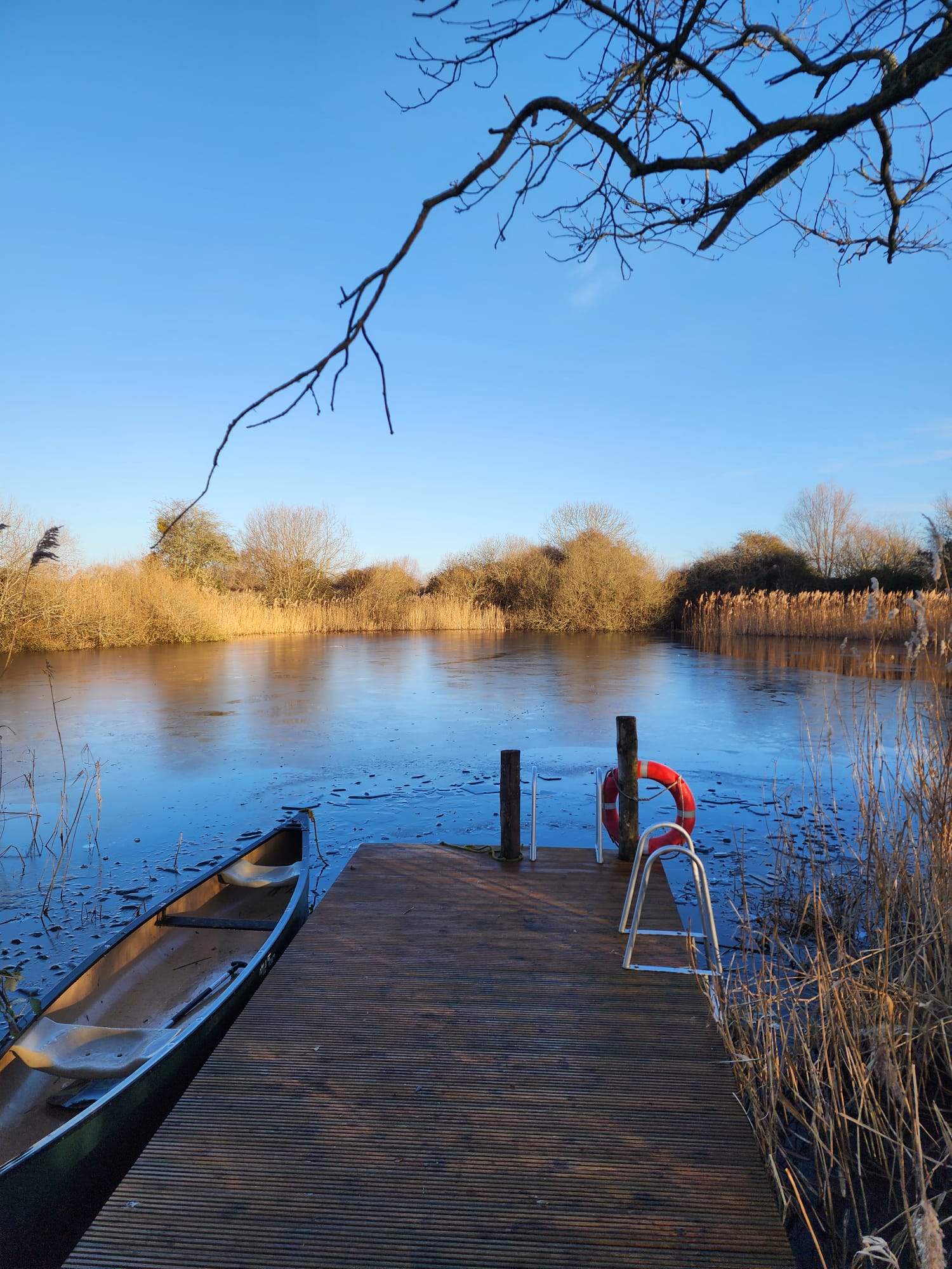 Wild Swimming Lake In Winter At Elmore Estate