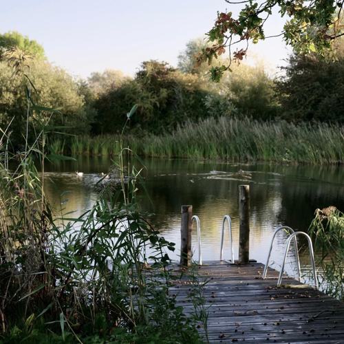 Earth Listening Circle, Swim & Sauna