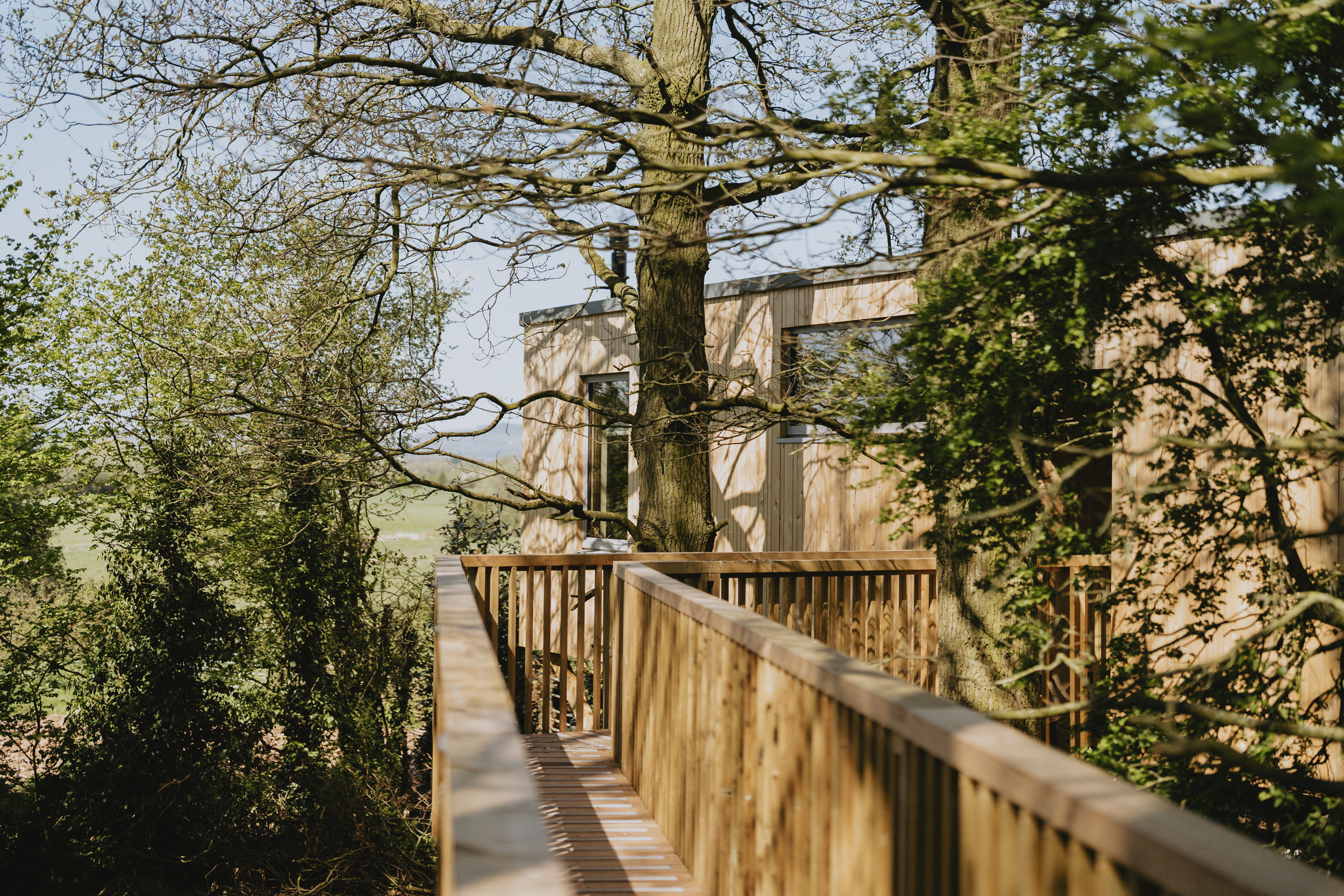 Designing with Nature