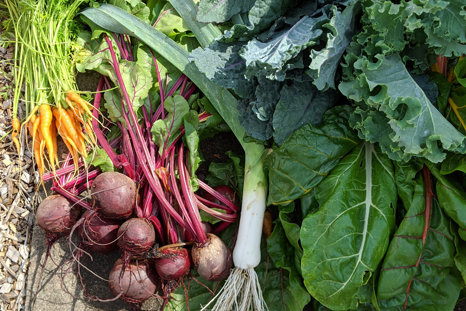 Allotment Haul