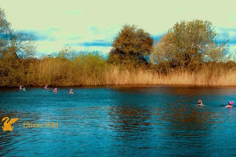 Communal wild swimming sessions at Elmore Estate