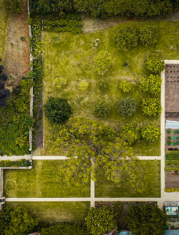 The Walled Garden