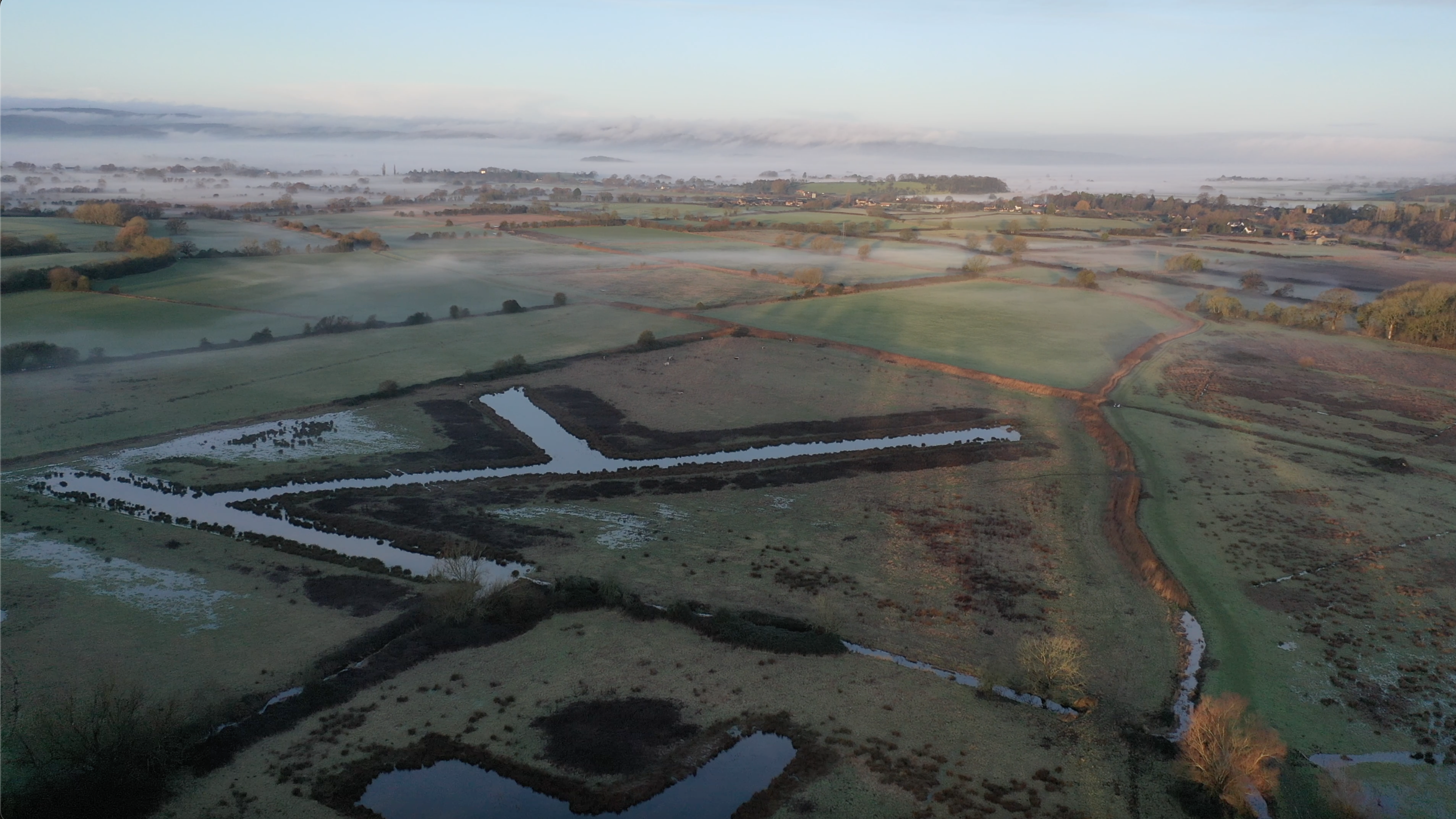 World Wetland Day 2026