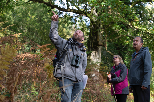 Wake up to the wild morning chorus with Ed Drewitt