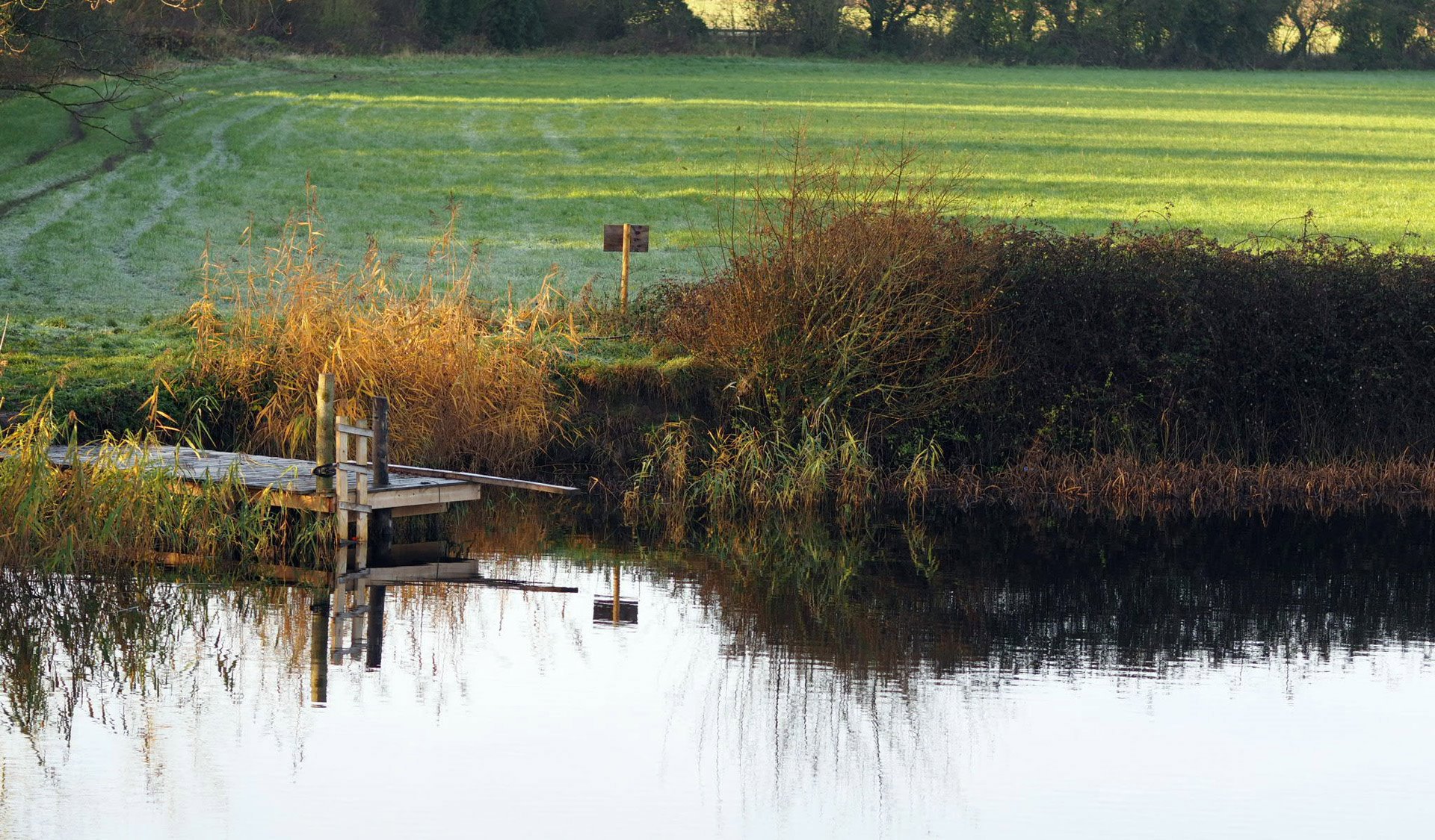 Bottomless Pond Elmore Rewilding