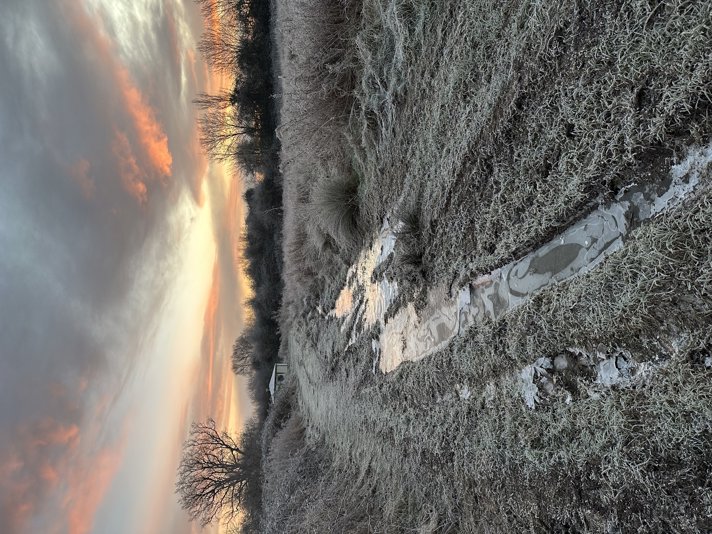 February Journal - The Art of Noticing