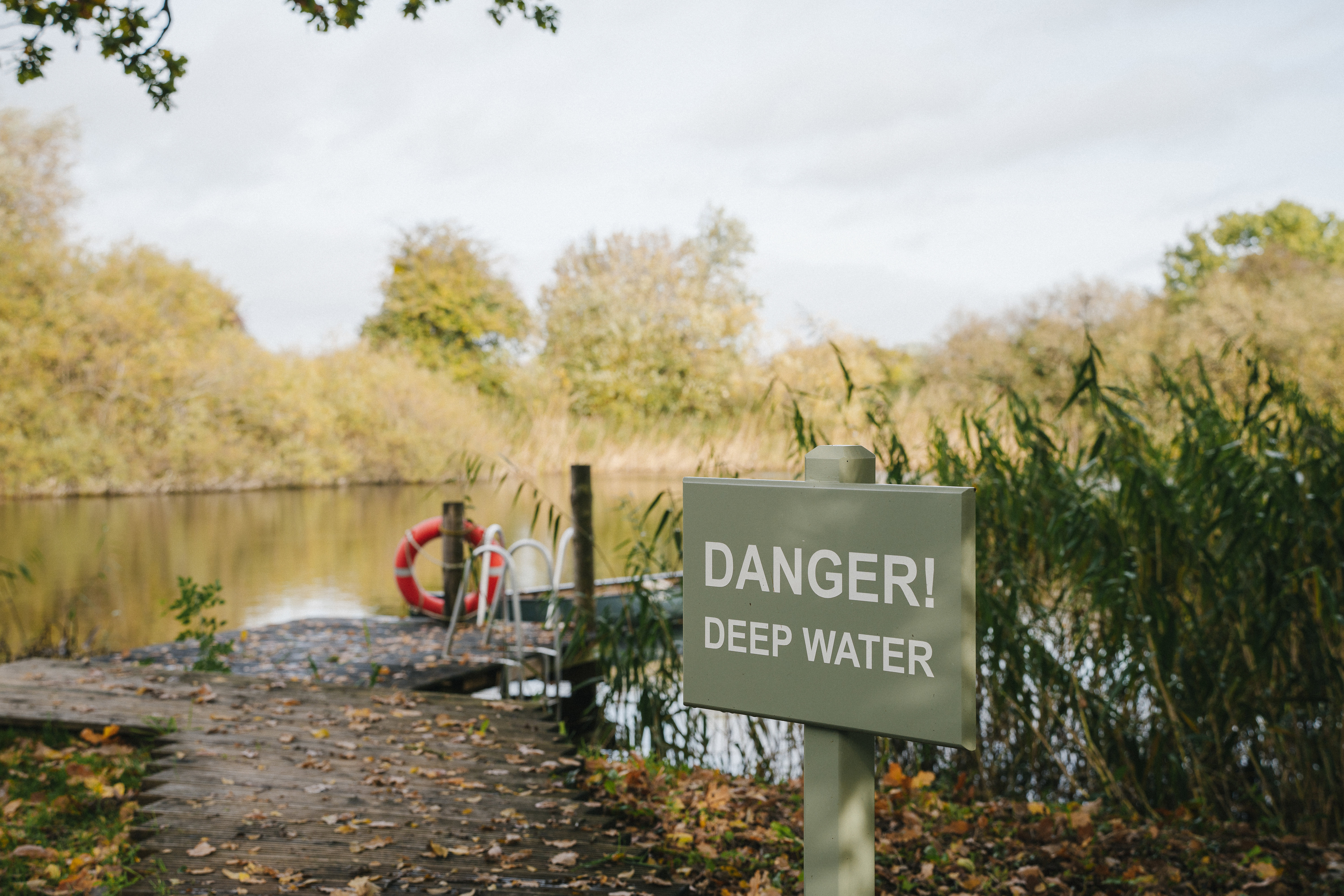 Dive In: The Magic of Wild Swimming at Elmore