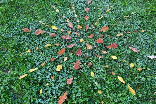 November Journal: Quiet Transformations