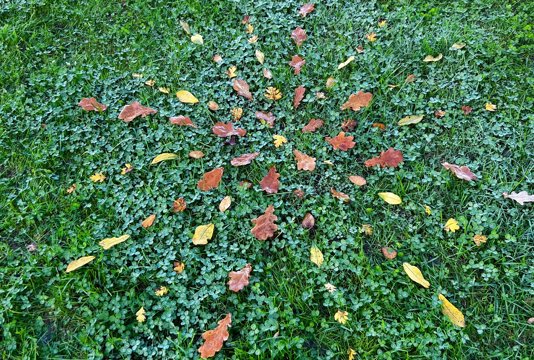 November Journal: Quiet Transformations