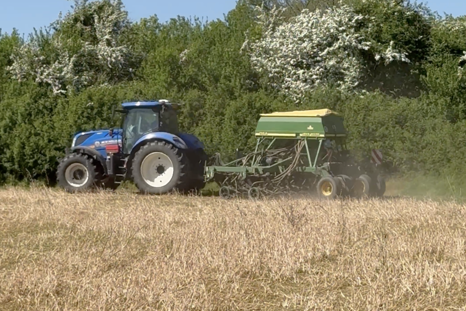 Direct drilling at Elmore Estate