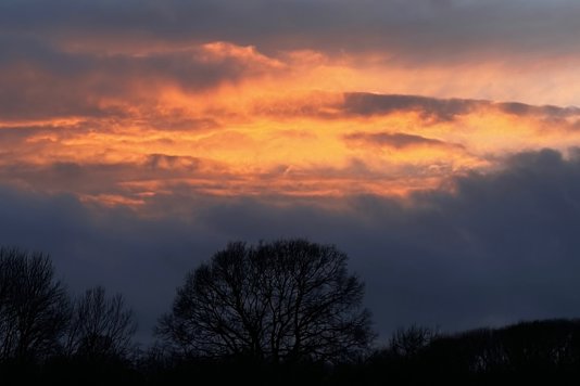 January Journal: Winter isn't Silent