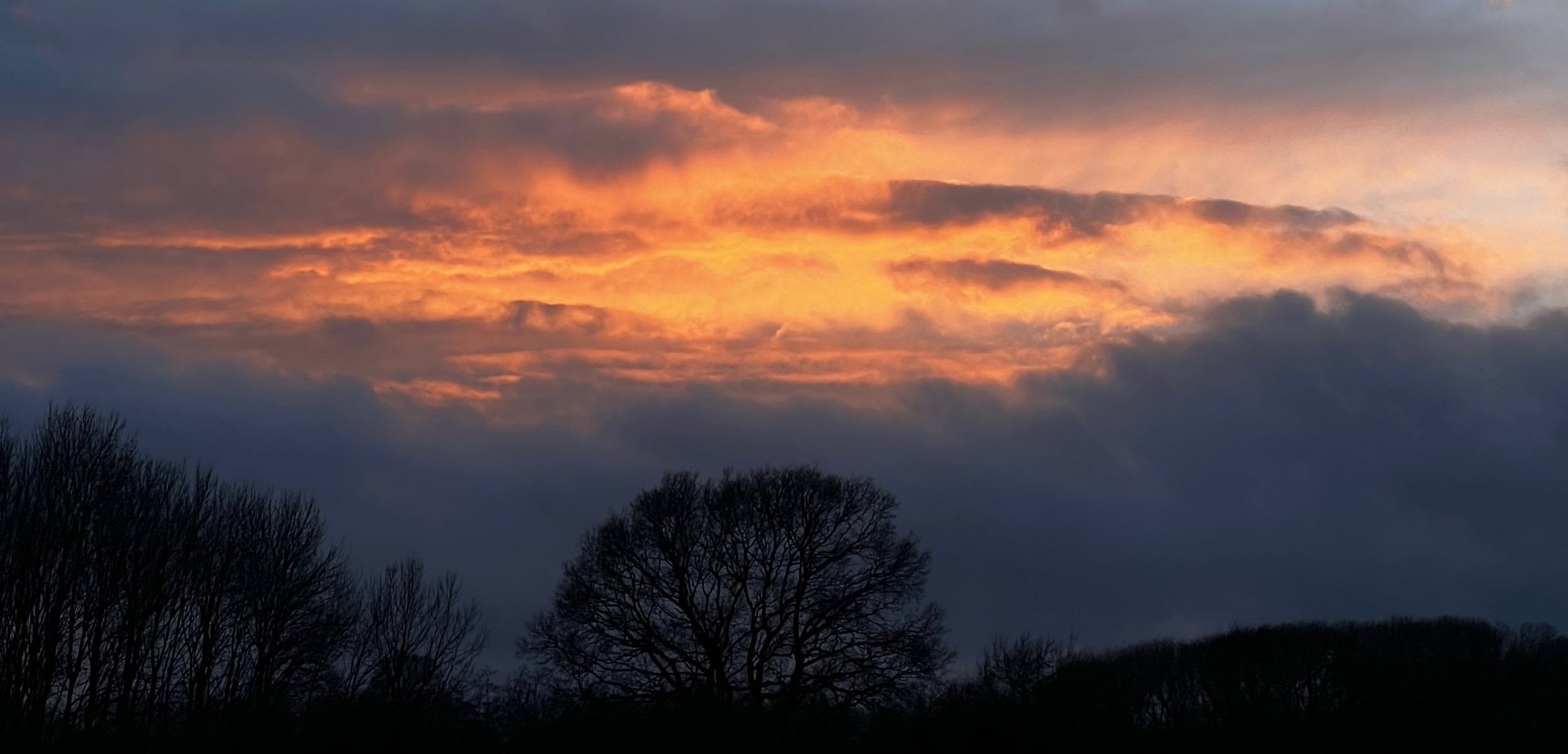 January Journal: Winter isn't Silent