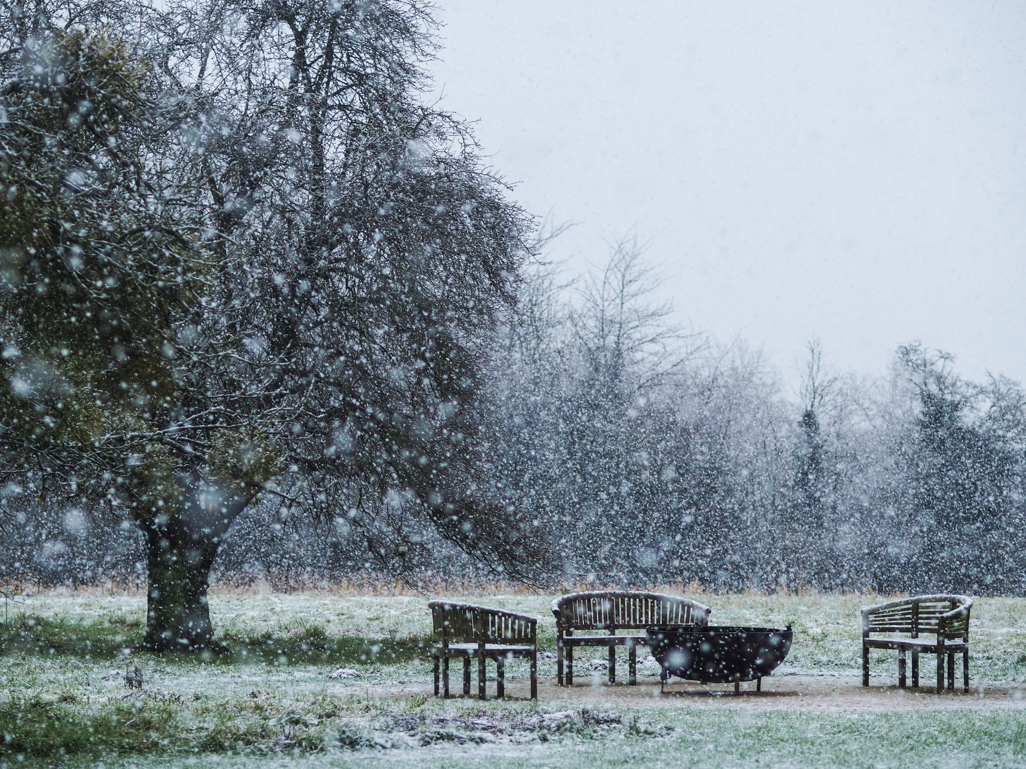 Winter’s Icy Fingers Creep Quietly over the Elmore Estate