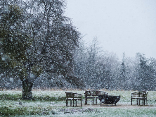 Winter’s Icy Fingers Creep Quietly over the Elmore Estate