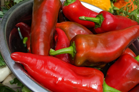 Freshly Picked Peppers