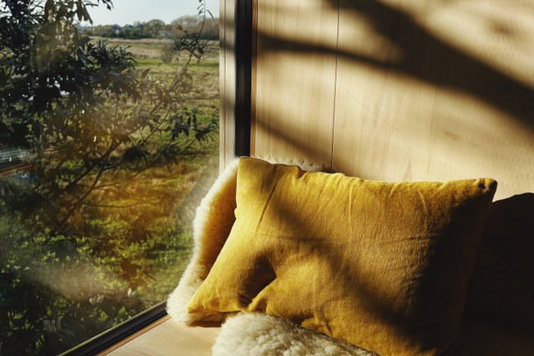 A Writing Retreat in the Trees