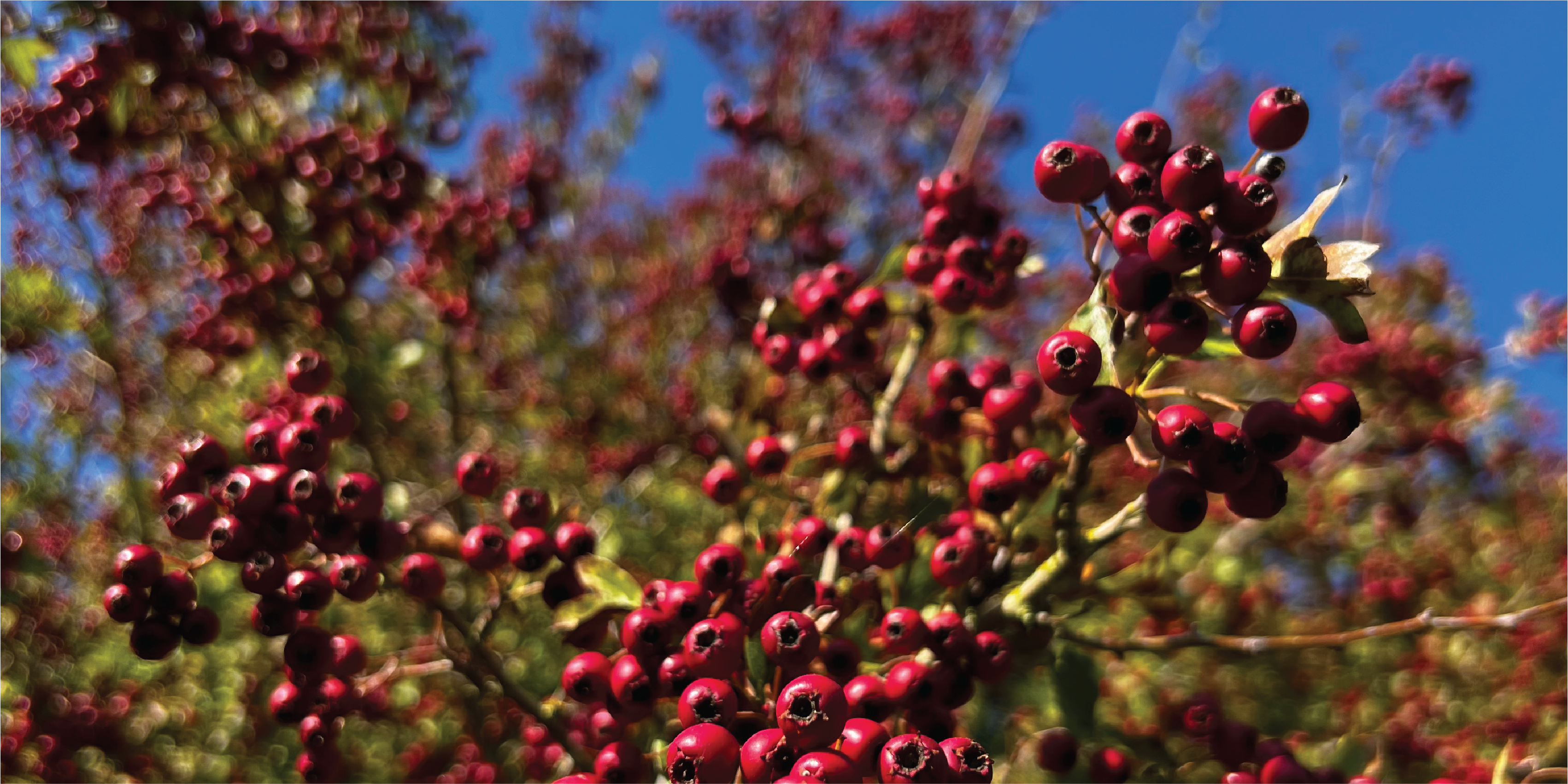 September Journal: Shifts in Season