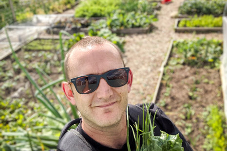 On The Allotment