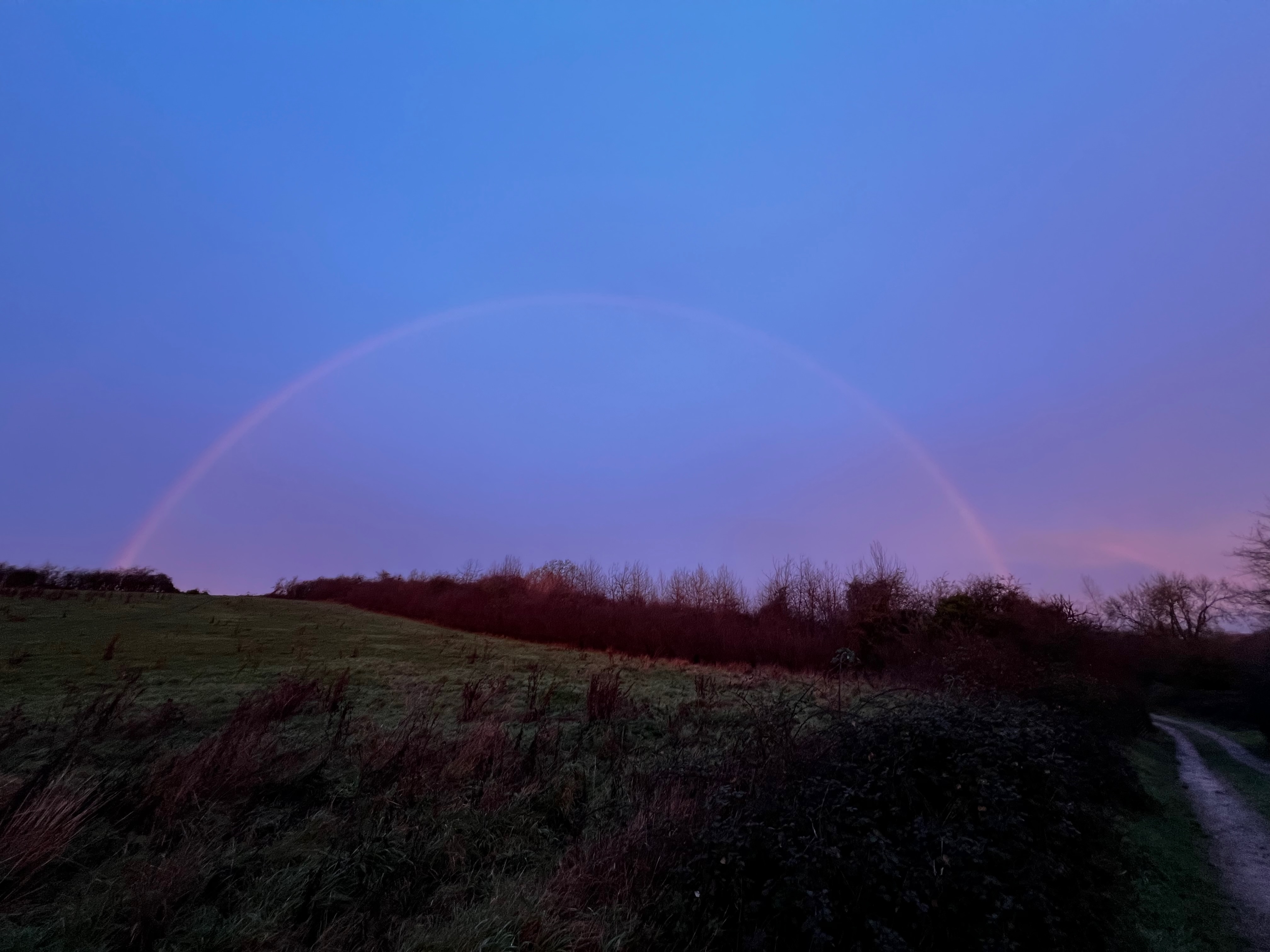 December Journal: Rewilding, Wildlife and Water