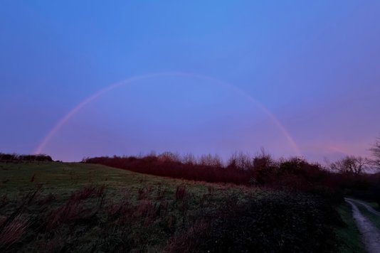 December Journal: Rewilding, Wildlife and Water