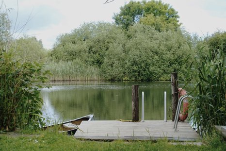 Groundless Pool on Elmore Estate.jpg