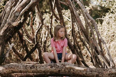 Treehouse 68 Crop