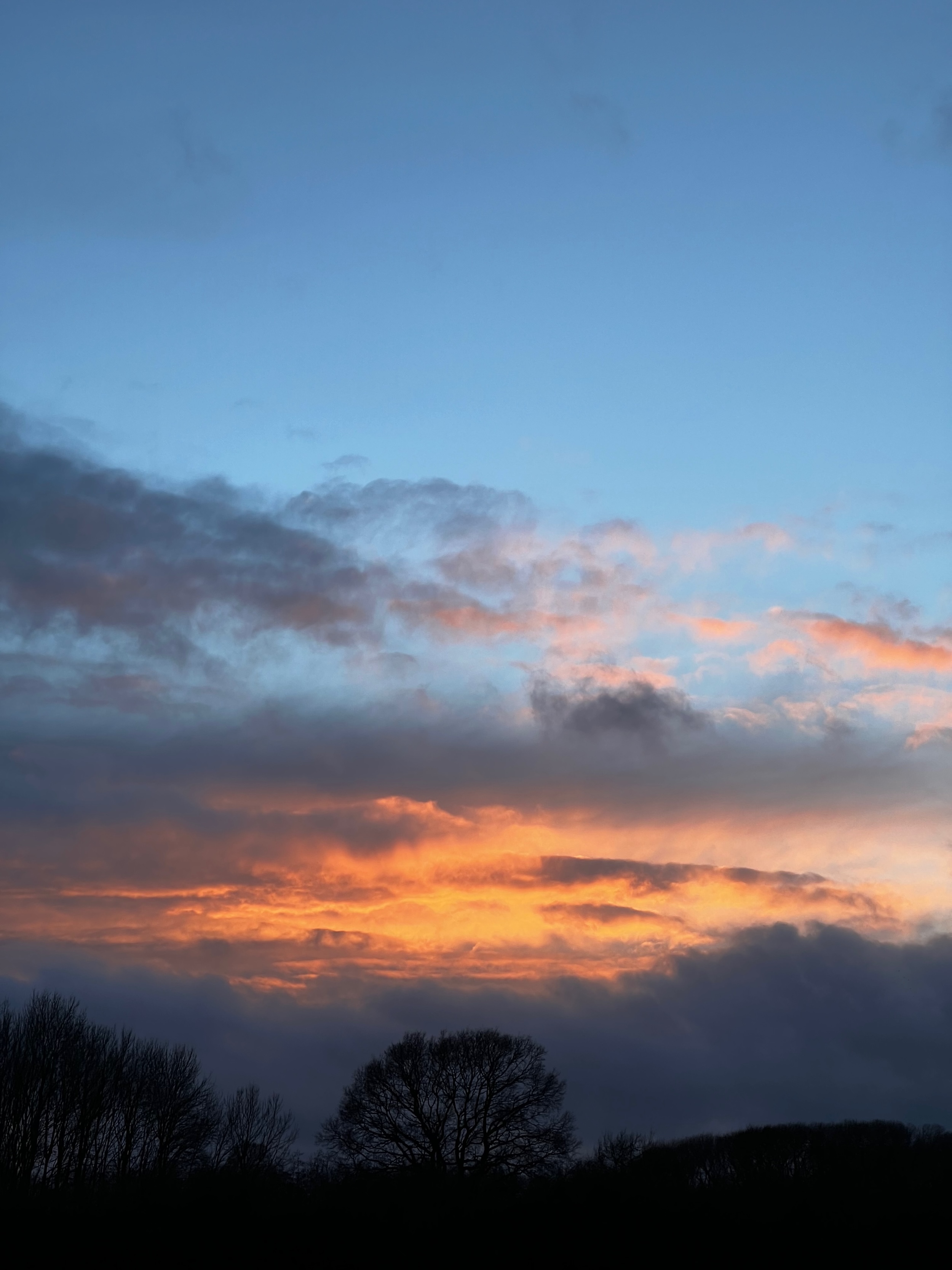 Sunset Over Elmore Estate