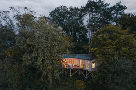 Treehouses At Dusk 002