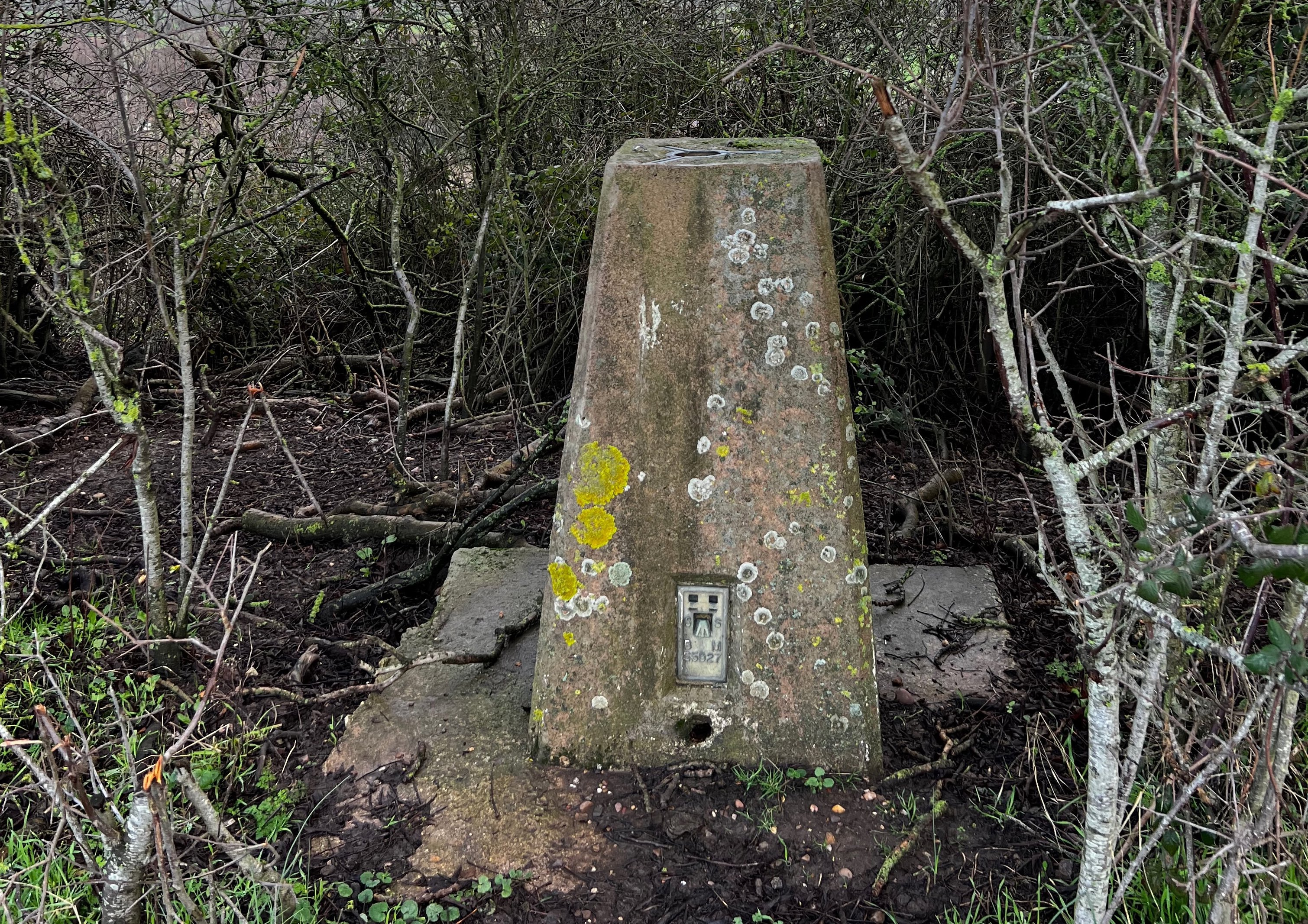 Trig Point 4