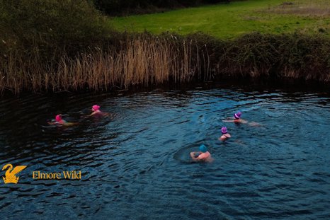 Wild Swimming lake at Elmore Estate