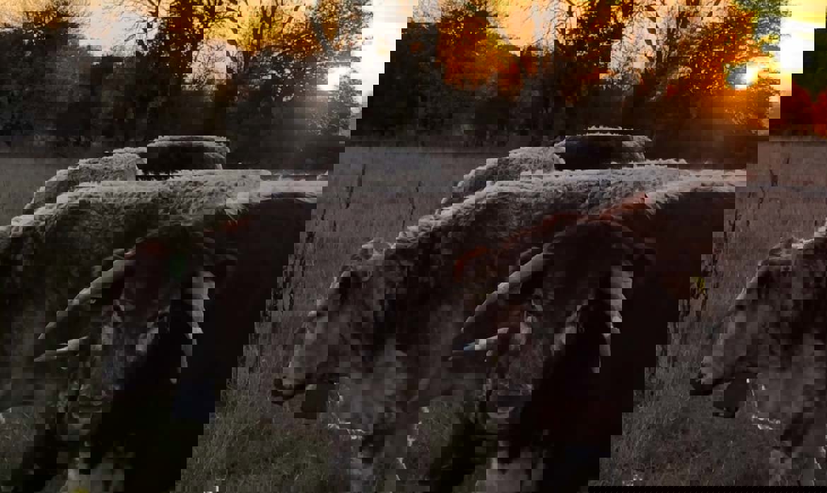 The Art of Noticing ~ March 2025