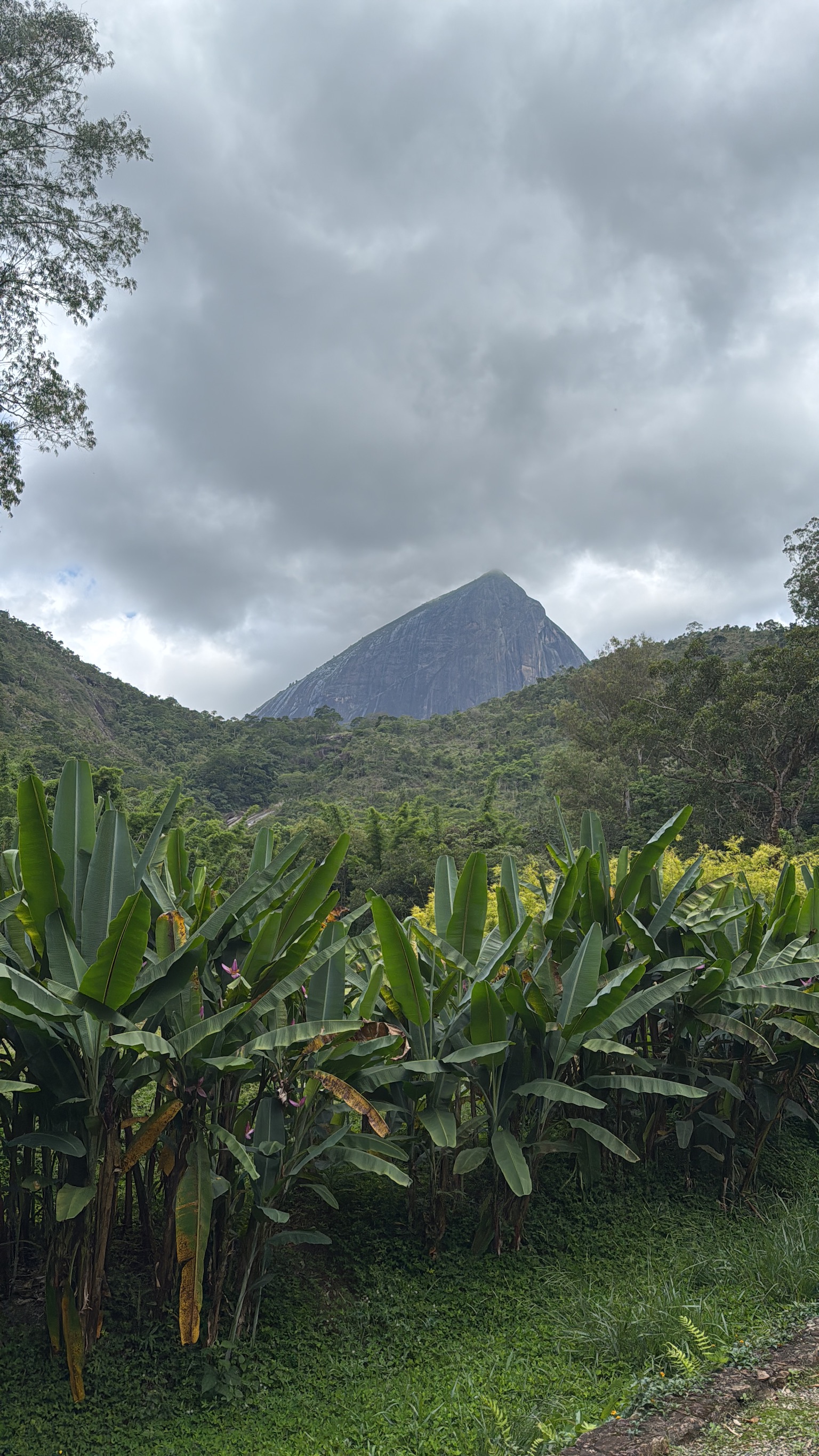 B5D2D685 1BD3 4CE1 823A 3661579C1054