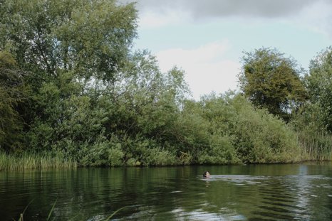 Swimming at Groundless Pool on Elmore Estate.jpg