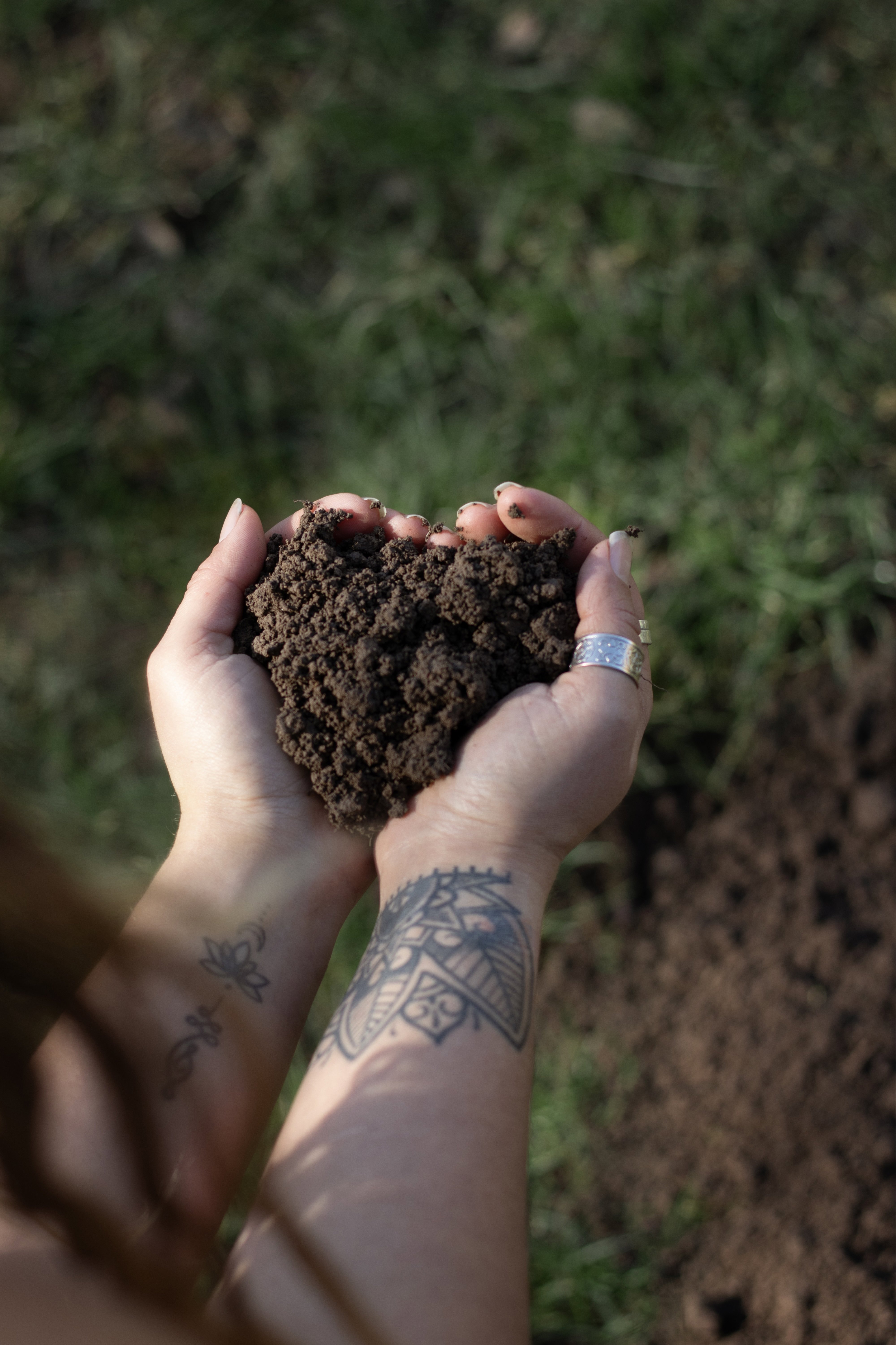Soil 2