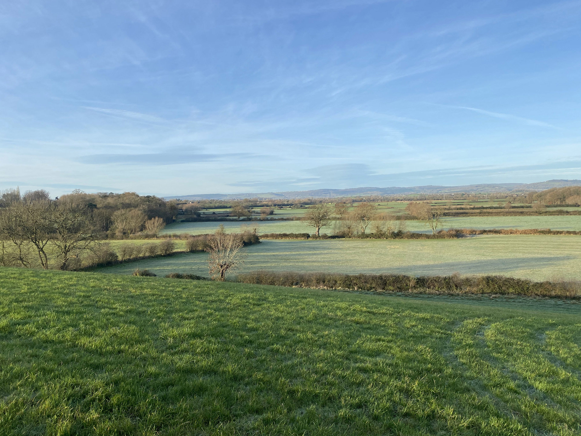 Fields To Be Rewilded