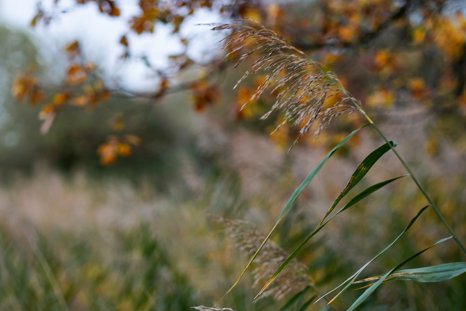 Elmore x Earnt x 100 Acres 2025 - 5th_November_349.jpg