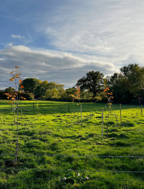 Volunteering with Earnt