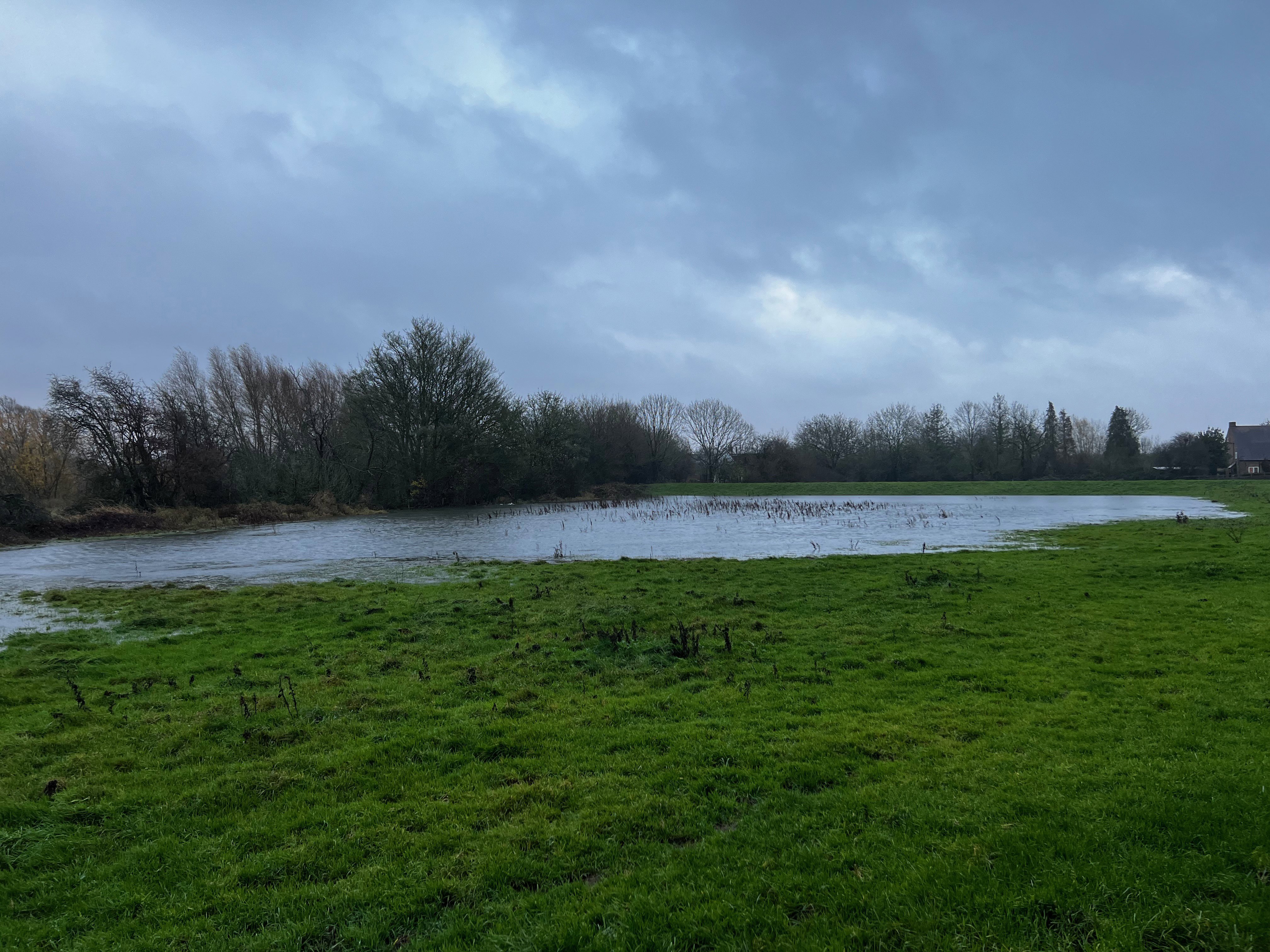 Standing Water In Field Near River