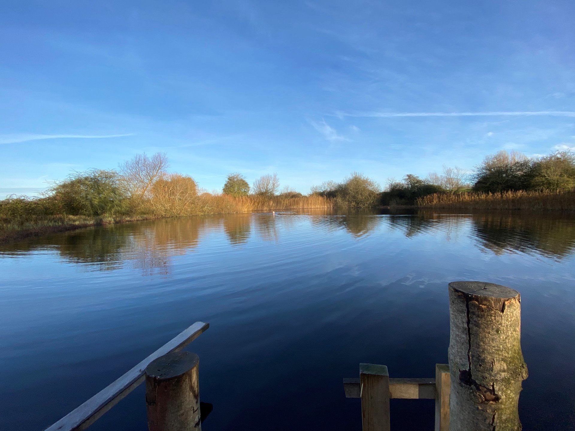 Wild Swimming Pond
