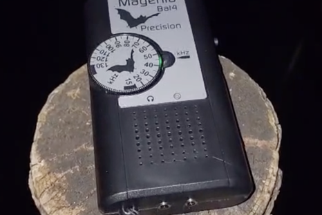 Bat detector at Elmore Estate 