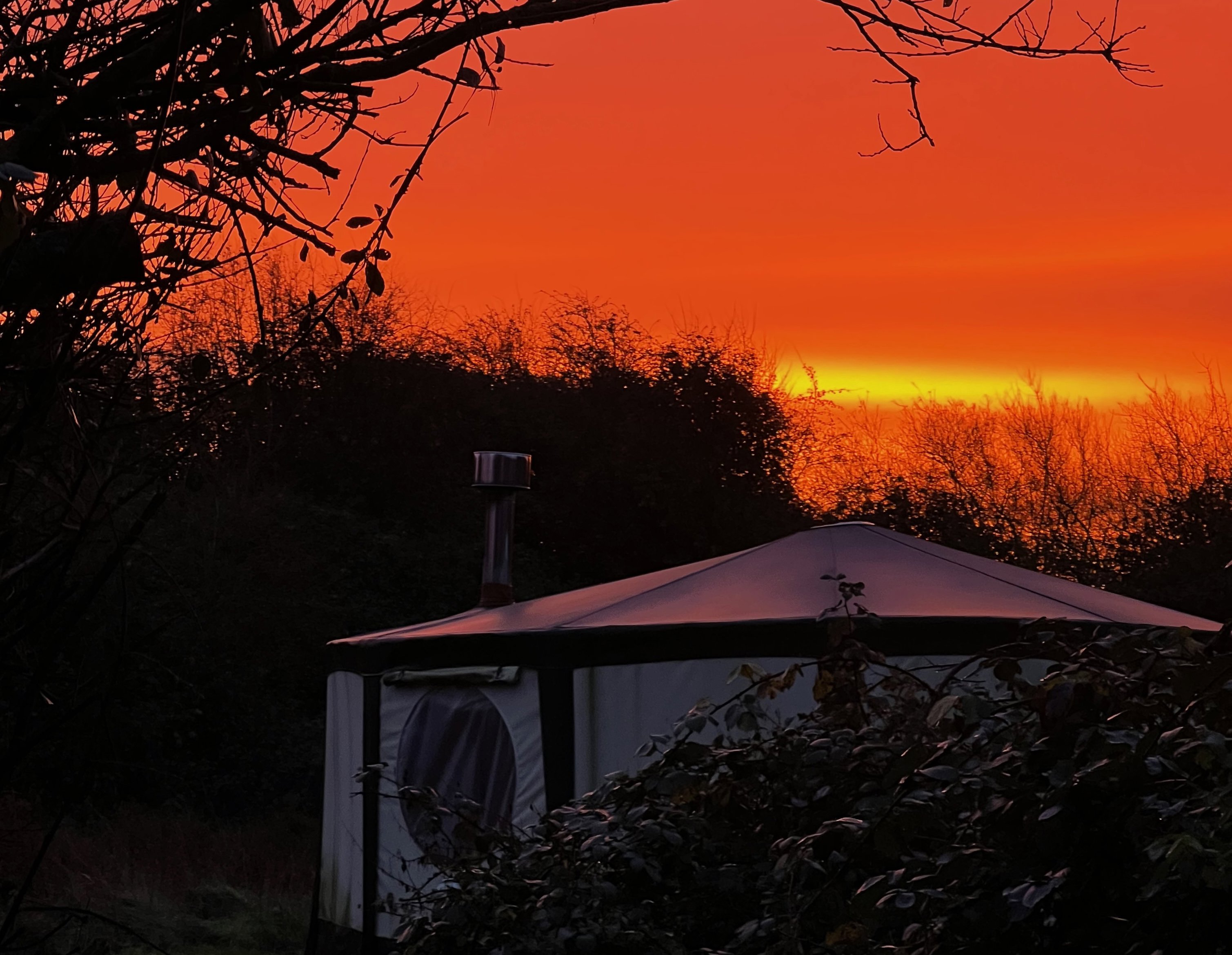 December Journal: Rewilding, Wildlife and Water