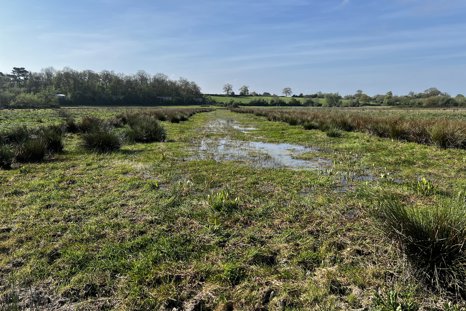scrapes low water level on Elmore Estate