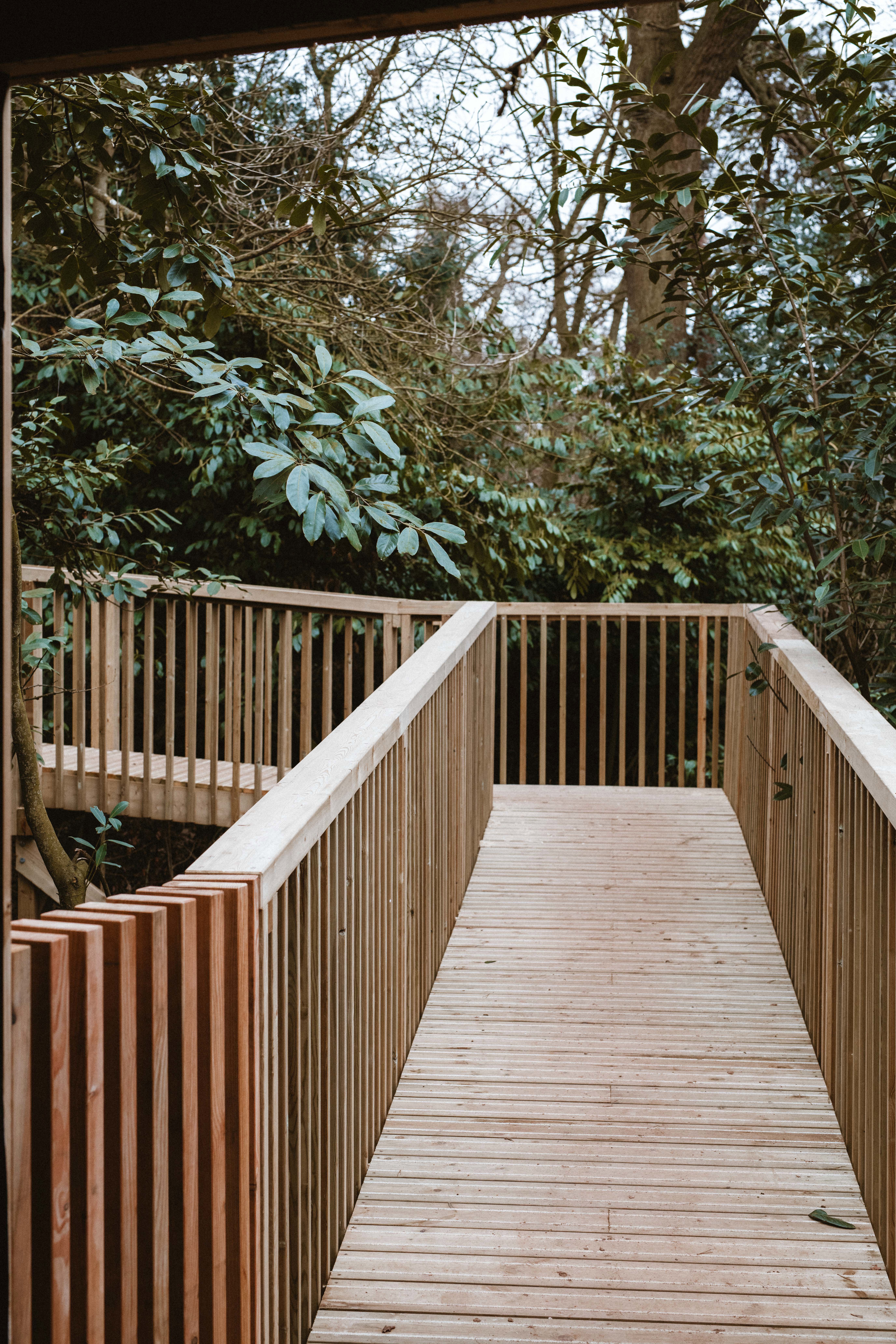 Elmore Court Tree Houses 44