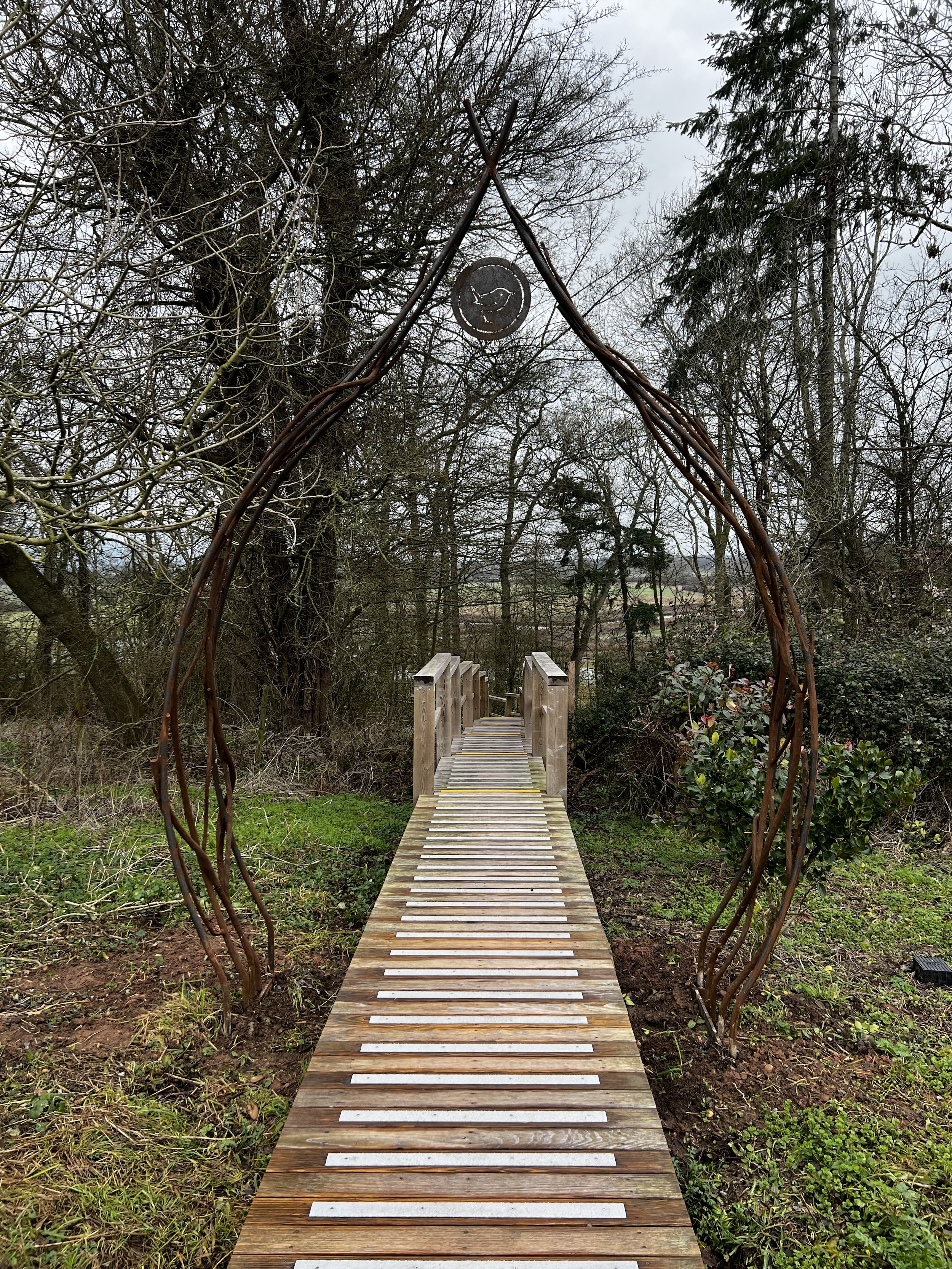 Rewild Things Treehouse Improvments