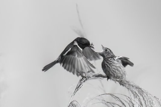 The Art of Noticing Things ~ May 2025