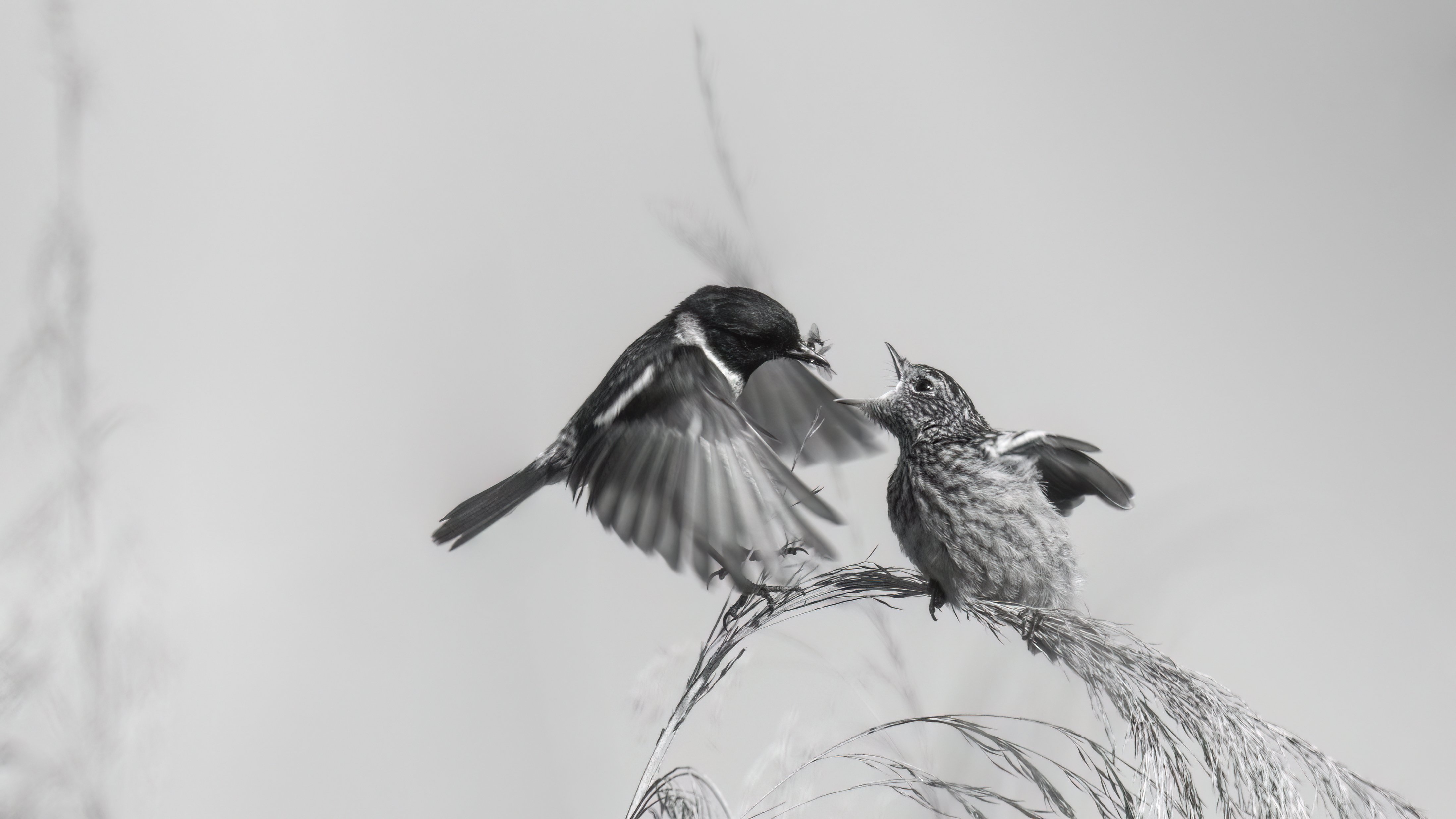 The Art of Noticing Things ~ May 2025