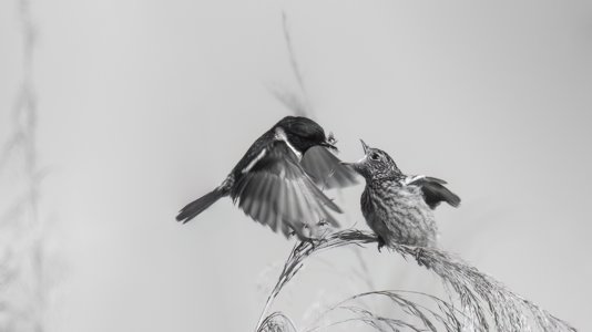 The Art of Noticing Things ~ May 2025